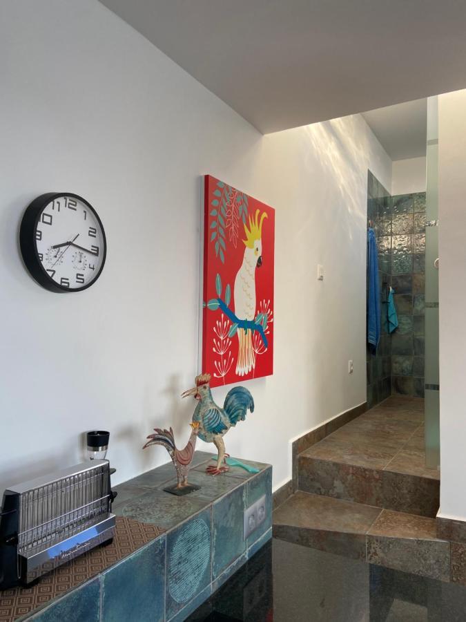 Villa Oasis La Paz - Acaymo Loft - Adults Only - Пуерто-де-ла-Крус Екстер'єр фото