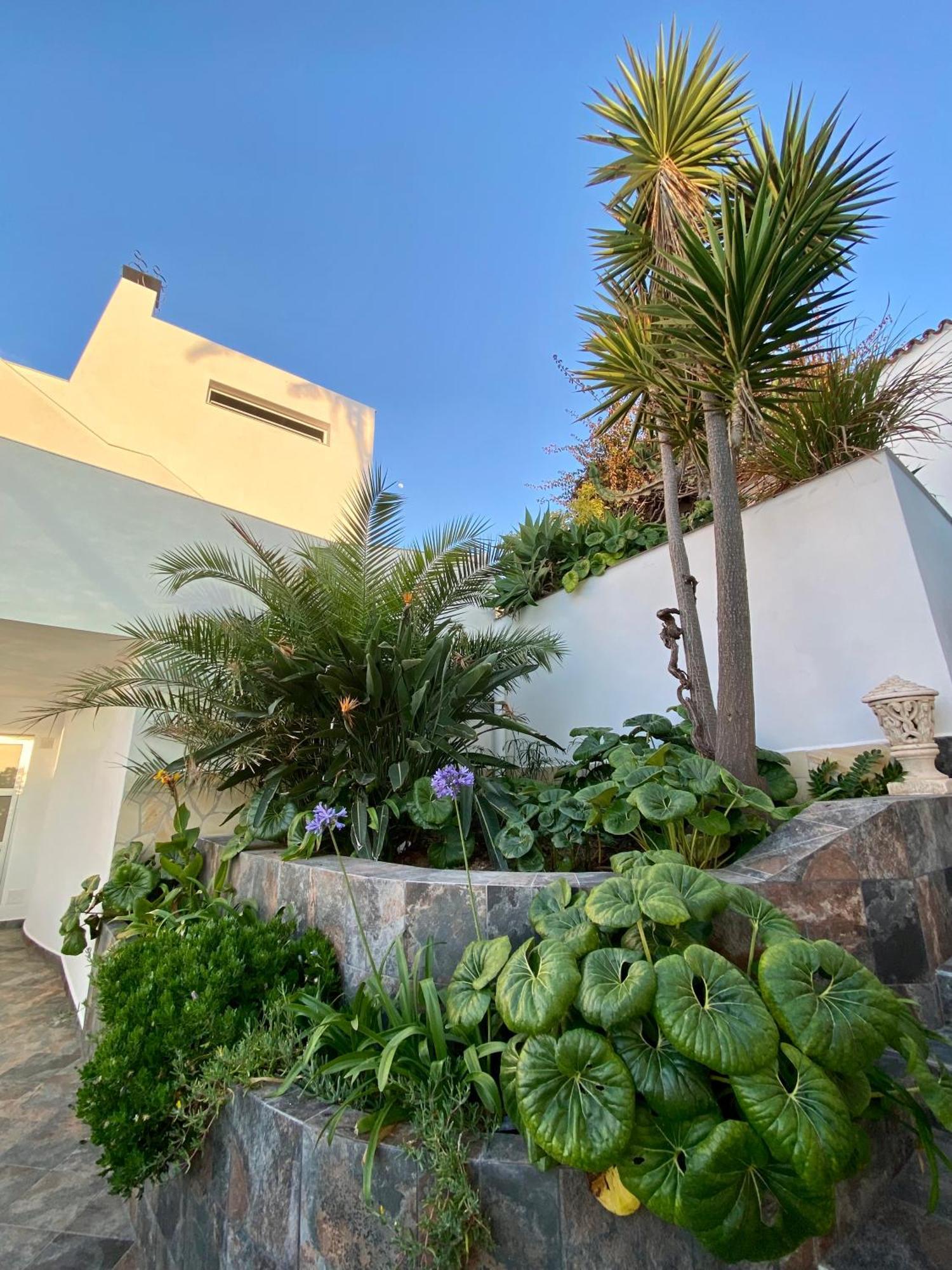 Villa Oasis La Paz - Acaymo Loft - Adults Only - Пуерто-де-ла-Крус Екстер'єр фото